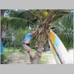 19 jeszcze tylko na palme i odplywamy.html
